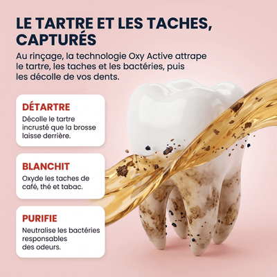 Dr.Blanc | Détartrant Oxy-Active™ Japonais